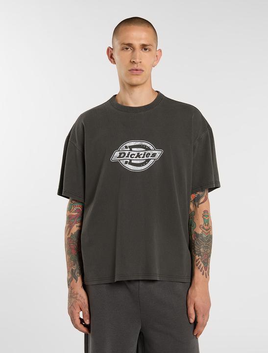 Produktbild Dickies Plainville Ss Tee (M)
