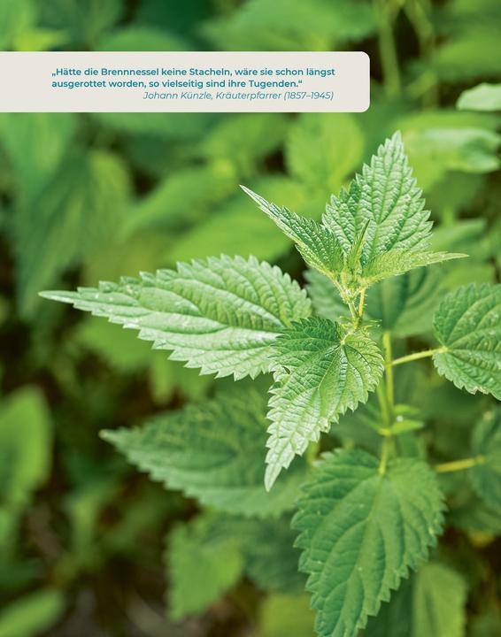 Produktbild Geliebtes Unkraut (Deutsch, smarticular Verlag, 2024)