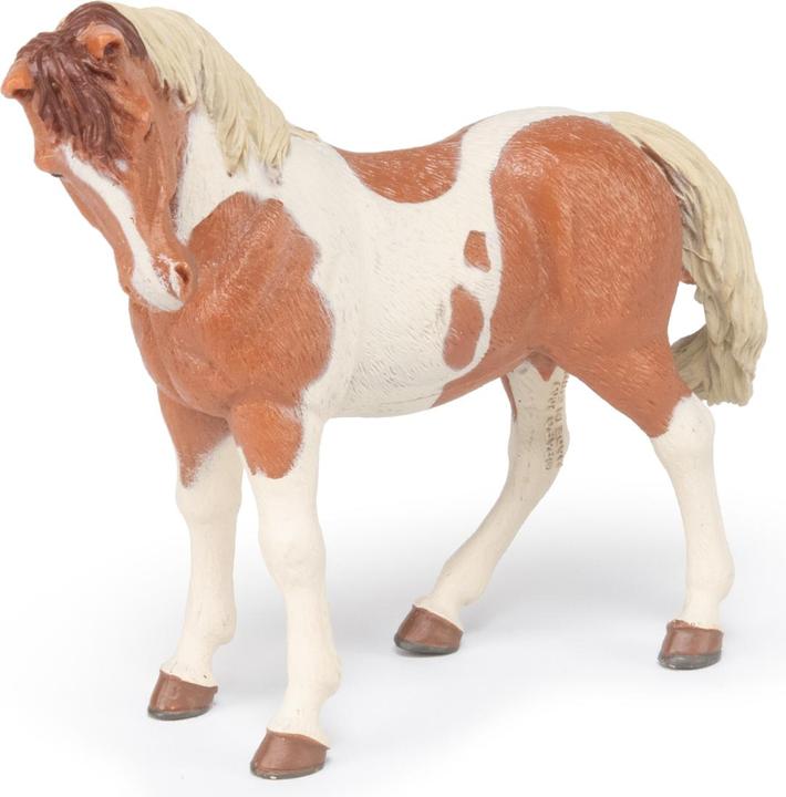 Image du produit Papo Pinto Mare