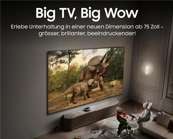 Produktbild Samsung QE75Q8FAAU (75", Q8F, LED, QLED, 4K, 2025)