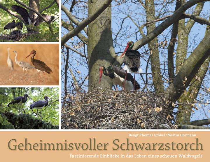 Produktbild Aula Geheimnisvolle Schwarzstörche (Deutsch, Bengt Thomas Gröbel, Martin Hormann, 2014)