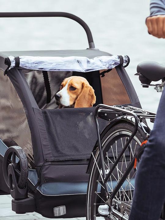 Actual product image Thule Courier