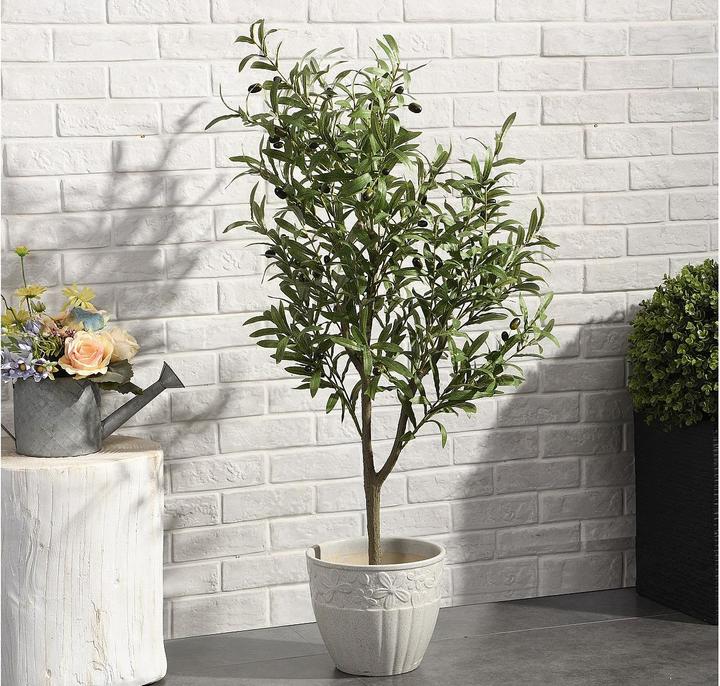 Immagine prodotto Ozaia Huesca (120 cm)