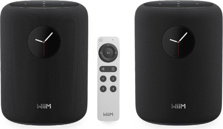 WiiM Sound Twin (Bluetooth, Chromecast, WLAN)