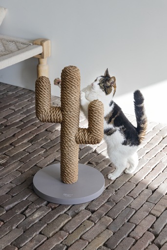 Produktbild Designed by Lotte Cactus (60 cm, Hellbraun)