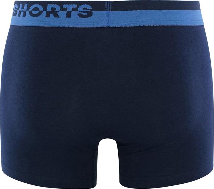Actual product image Phil & Co. Berlin Retro Pants All Styles (XXL, pack of 4)