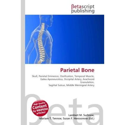 Parietal Bone, Fachbücher von Susan F. Marseken, Miriam T. Timpledon, Lambert M. Surhone