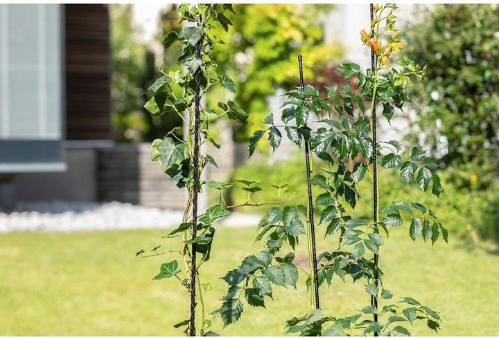 Actual product image Windhager Garden obelisk (120 cm, 0.80 cm)