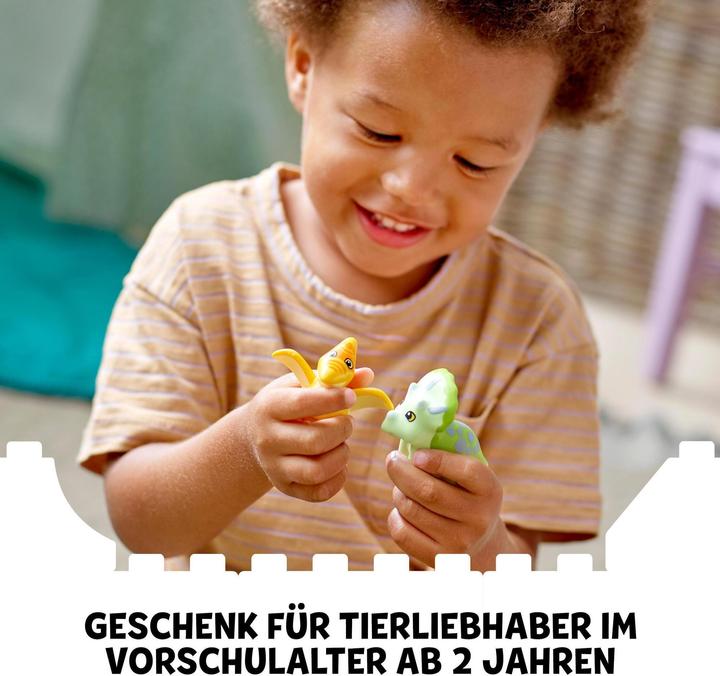 Image du produit LEGO DUPLO Jurassic World 10938 Jardin d'enfants des dinosaures (10938)
