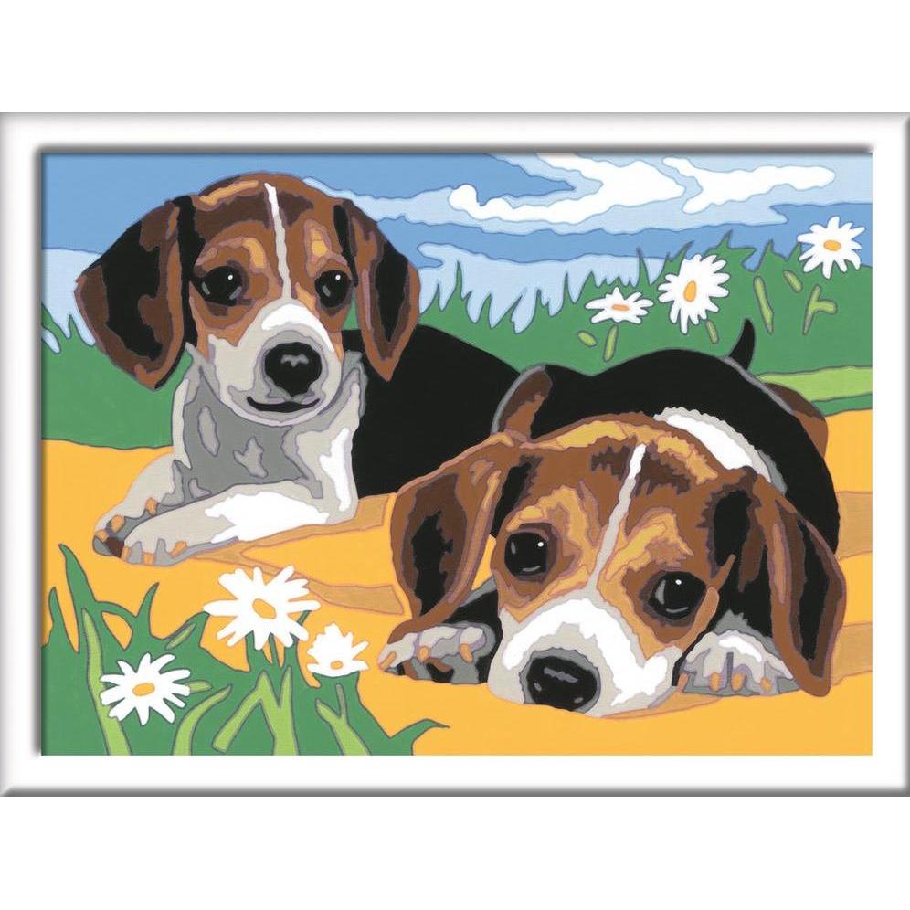 Thumbnail - Ravensburger Jack Russel Welpen