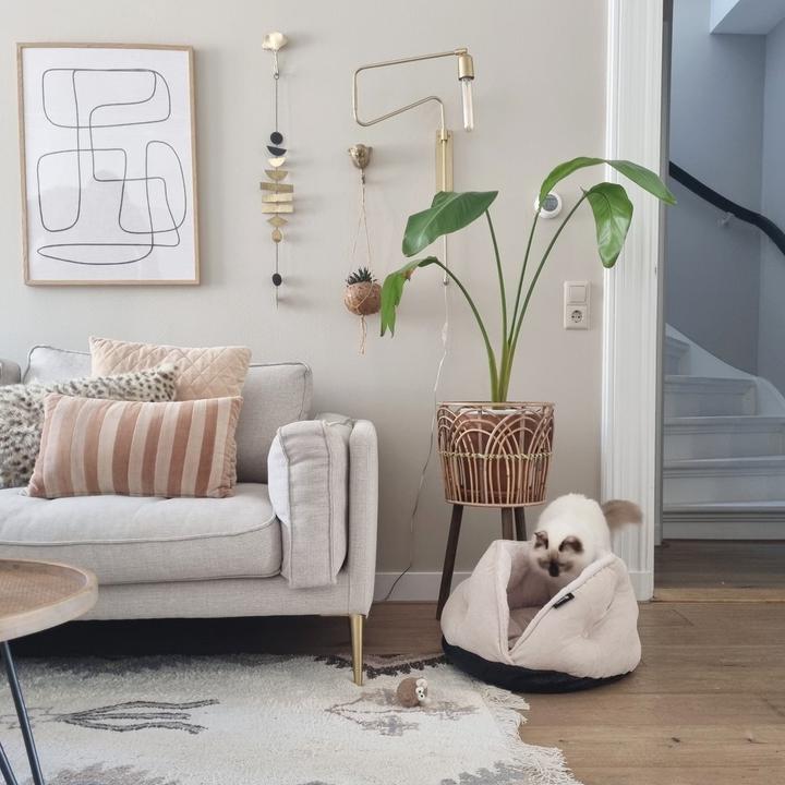 Image du produit District 70 Sac de couchage Tuck, Terra (Chat)