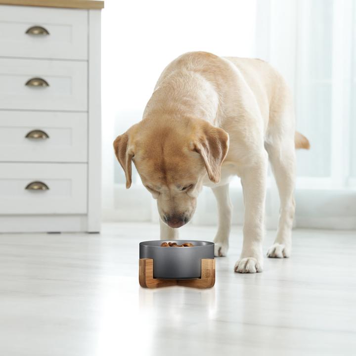 Actual product image Relaxdays Dog Bowl (0.85 l)