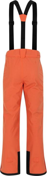 Immagine prodotto Dare2b Uomo Achieve II Pantaloni da Sci (3XL)