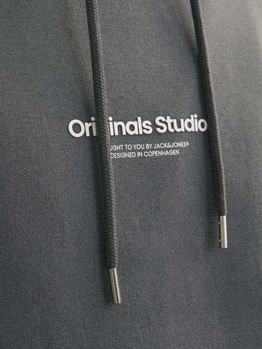 Image du produit Jack & Jones Imprimé Sweat à capuche Sweat à capuche (M)