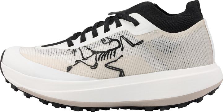 Actual product image Arc'teryx Sylan Pro (40)