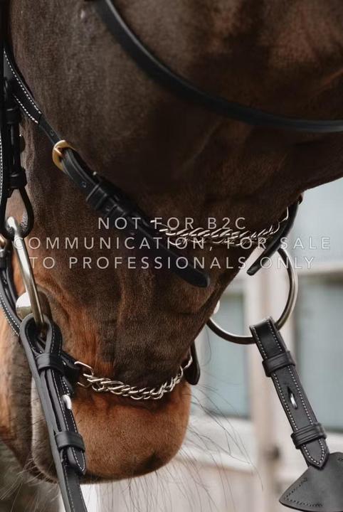 Image du produit Dy'on Muserolle cheval Mexicaine avec chaines