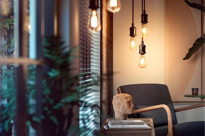Produktbild Philips Hue Giant BT (E27, 7 W, 550 lm, 1 x, G)