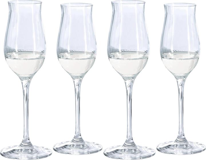 Spirit (13.50 cl, 4 Glasses, Red wine glasses)