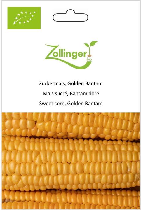 Actual product image Zollinger Bio Sweet corn, Golden Bantam