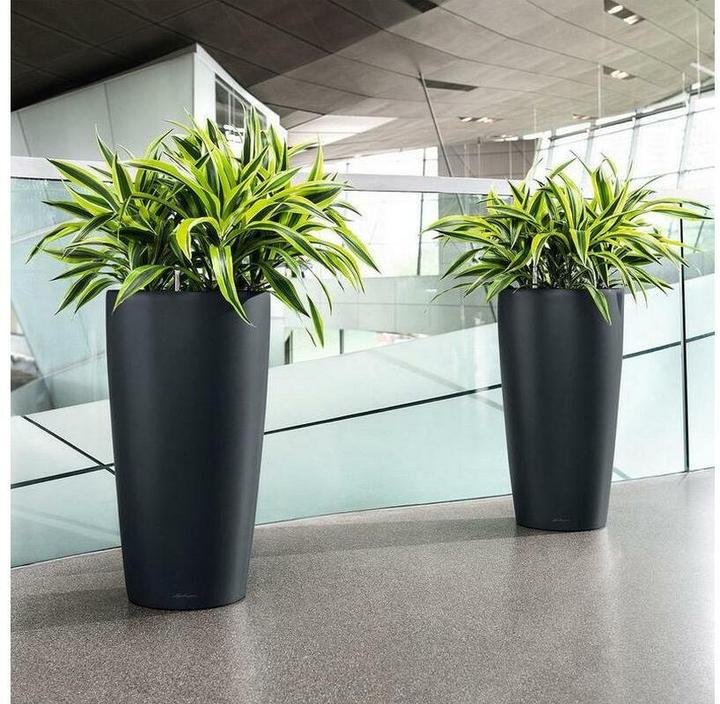 Produktbild Lechuza RONDO Premium. (32.50 x 32.50 x 56.50 cm)