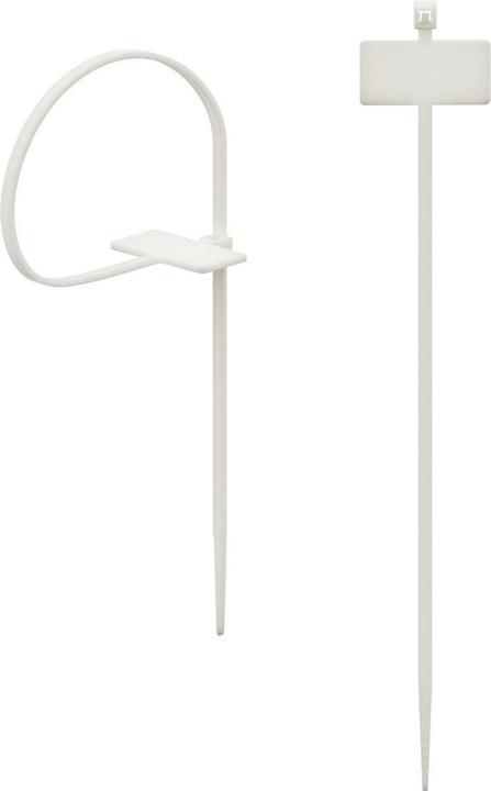 Image du produit Hama Colliers de serrage avec champ d'inscription, 98 mm, naturel, 25 pièces (Serre-câbles en plastique, 98 mm, 25 pcs)