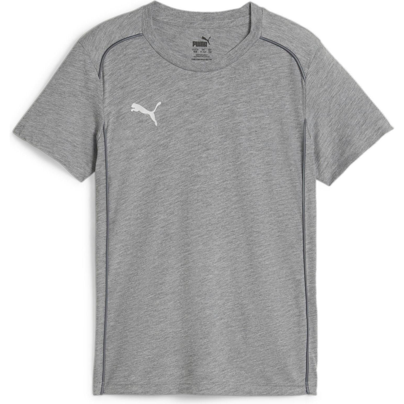 Puma, Jungen, Sportshirt, teamFINAL Casuals Tee Jr (128), Grau, 128