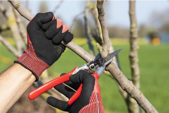 Produktbild Felco Gartenhandschuh (S)