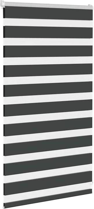 Produktbild vidaXL Zebra-Jalousie (70 x 100 cm)