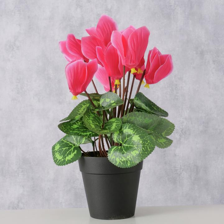 Produktbild Boltze Home Topfpflanze (27 cm)