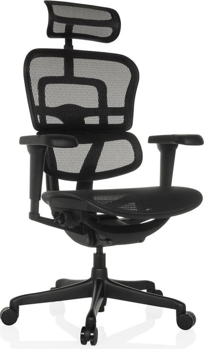 Actual product image Hjh Office Ergohuman Signature Gen2