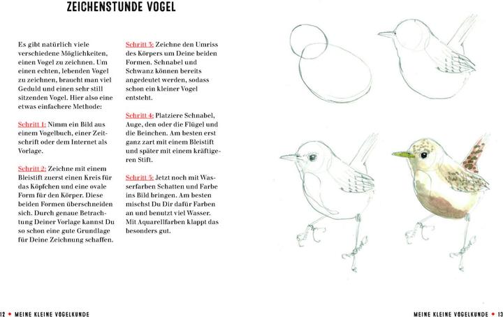 Produktbild Meine kleine Vogelkunde (Deutsch, Gerard Janssen, 2018)