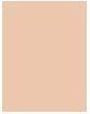 Productafbeelding Bourjois Gezonde Mix Schoon & Vegan BB Crème (03 Beige)