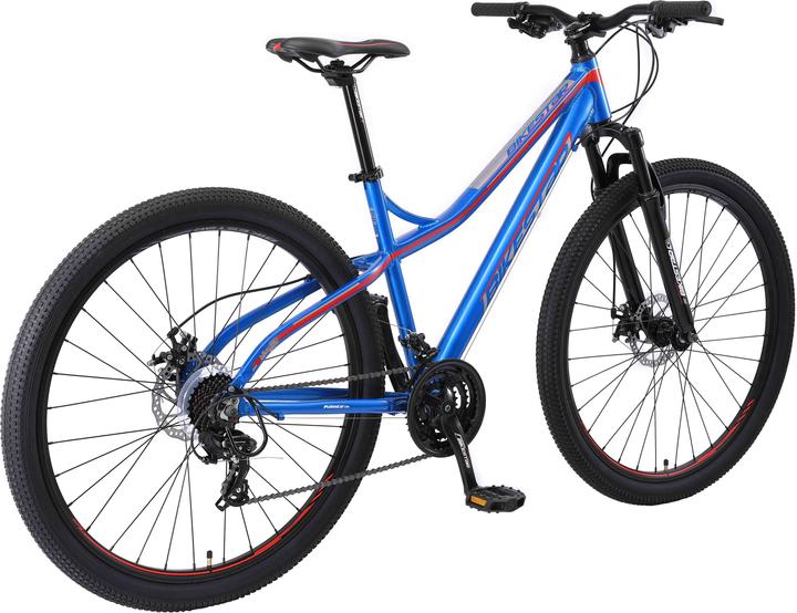 Bikestar Hardtail mountain bike (46 cm)