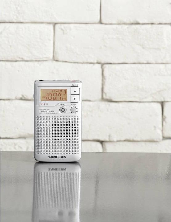 Actual product image Sangean Dt-250 (FM, AM, MW)