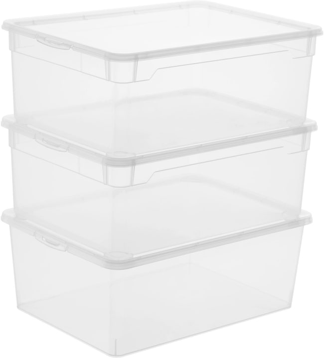 Image du produit Rotho Clair (36 x 26 x 14 cm, 10 l)