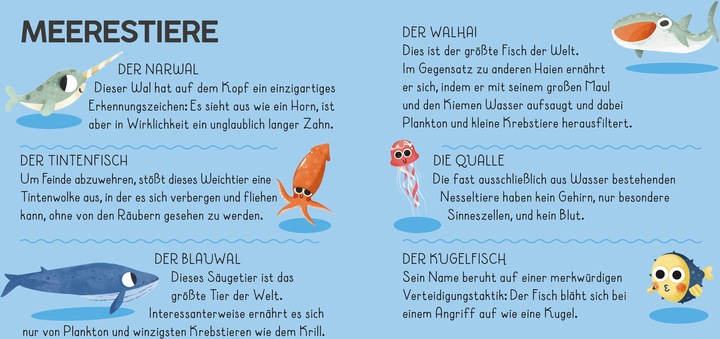 Produktbild Die Welt. Meine Erste Puzzle Box (36 Teile)