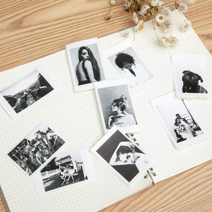 Image du produit PhoneLook Jeu de 3 rouleaux de papier thermique