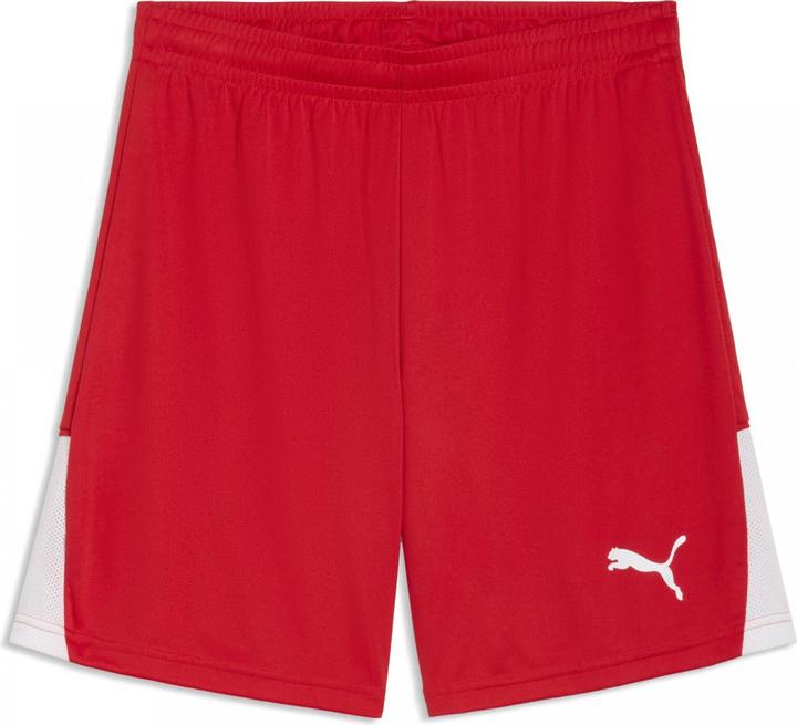 Produktbild Puma teamLIGA26 Shorts (S)