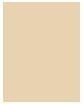 Immagine prodotto Clarins Everlasting (#105N Nudo)