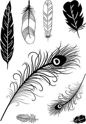 Immagine prodotto Efco Timbri trasparenti "Piume", 8 pezzi