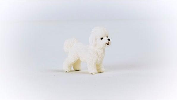 Immagine prodotto Schleich Bichon Frisé