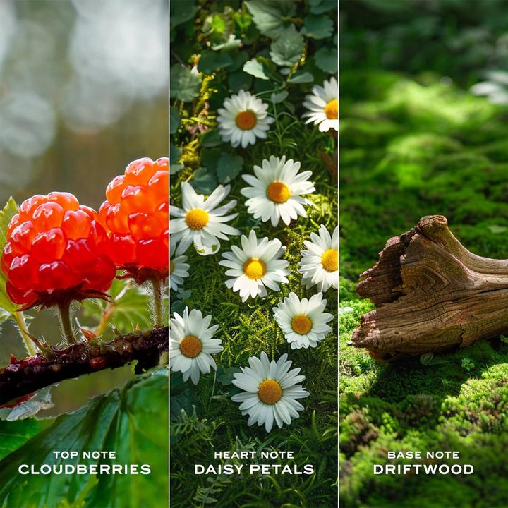 Immagine prodotto Marc Jacobs Amore margherita (Eau de toilette, 100 ml)