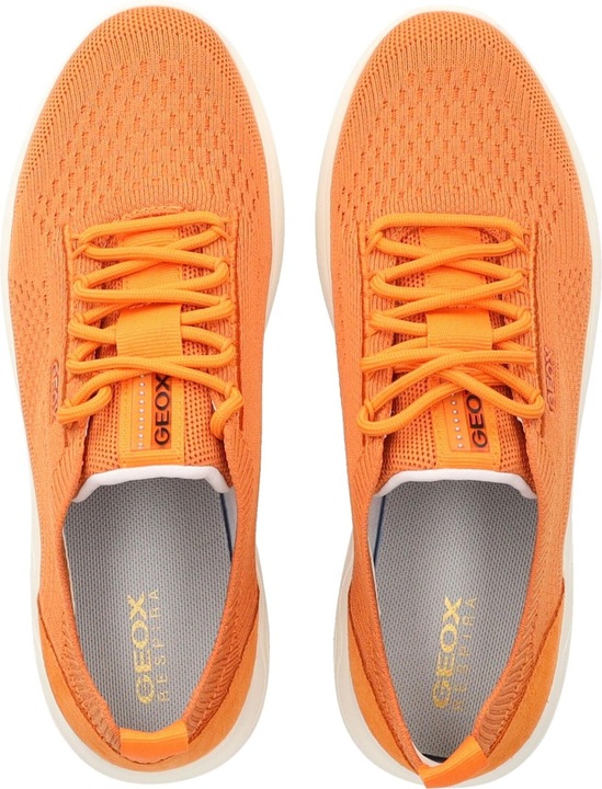 Actual product image Geox Sneaker (38)