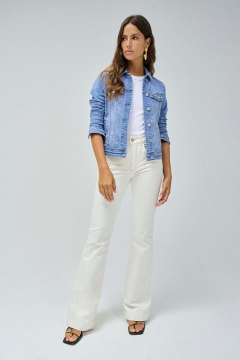 Produktbild Salsa Jeans Jeansjacken Denim Trucker Jacket (S)