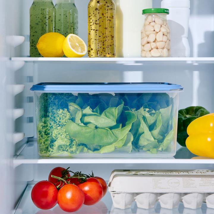 Actual product image Rotho Rondo (8 l)