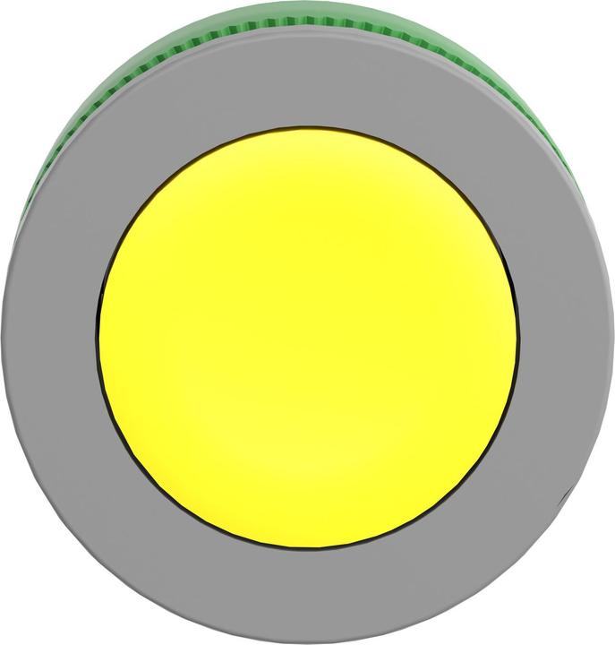 Actual product image Schneider Electric Push-button, front, plastic, ZB5FA56C0