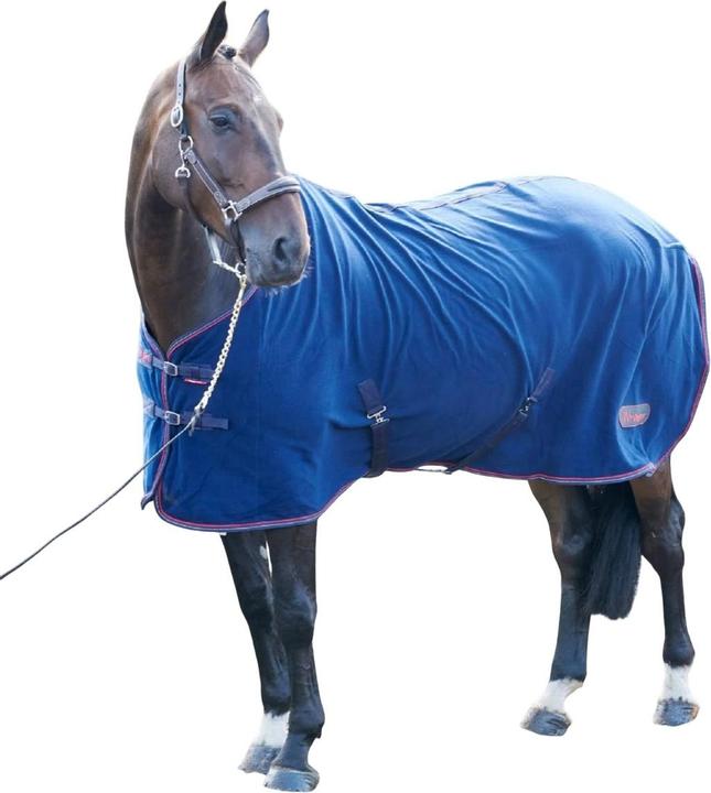 Image du produit - Couverture de cheval RASTRICK (137 cm)