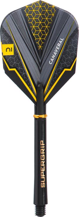 Image du produit Canaveral DT 920 (24 g)