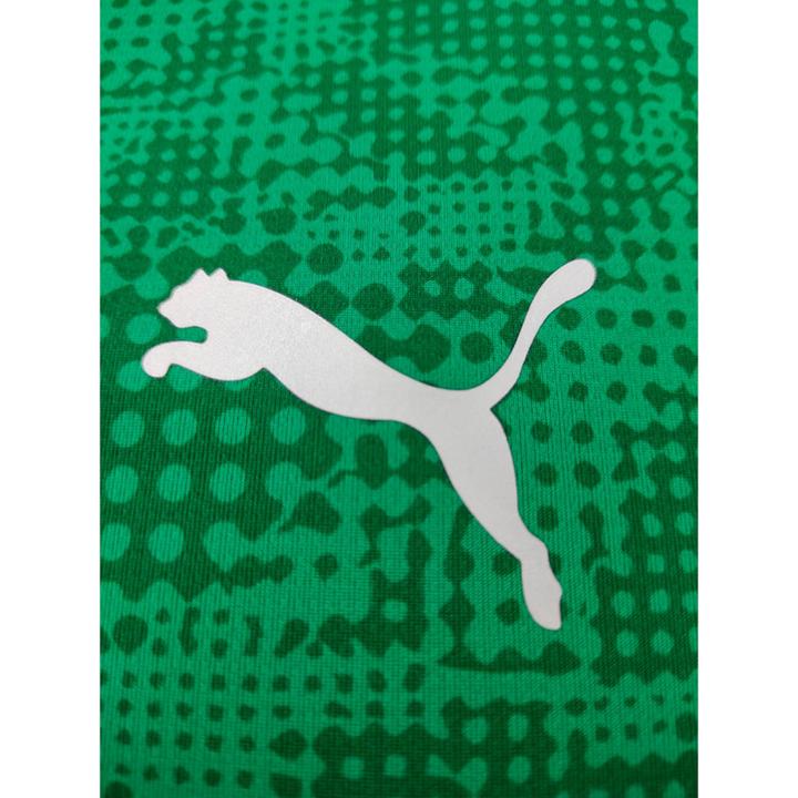 Image du produit Puma teamCUP Maillot d'entraînement (M)