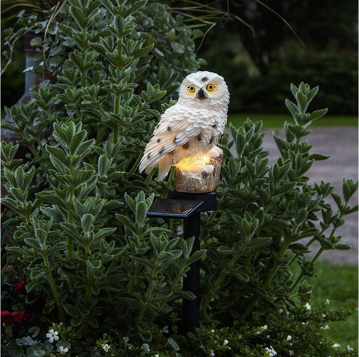 Immagine prodotto Star Trading Owl (IP44)